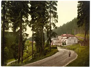 Marienbad Prints: Park, Marienbad, Bohemia, Austro-Hungary