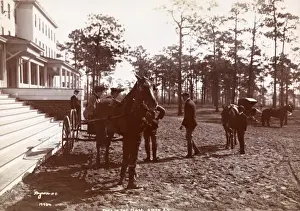 Park in the Pines