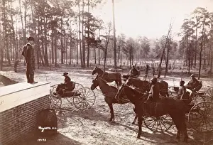 Park in the Pines