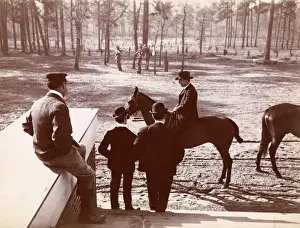 Park in the Pines