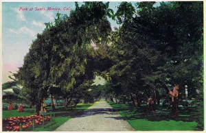 The Park at Santa Monica, Santa Monica, California