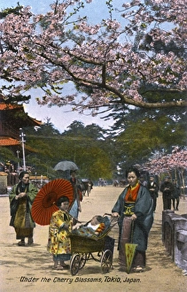 Japanese Spring Scene