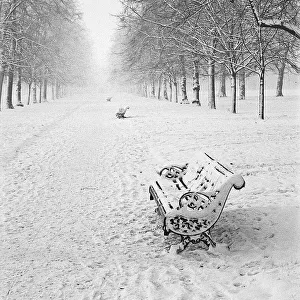 Deserted Prints: Park in the snow