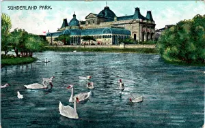 The Park, Sunderland, County Durham