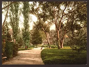 Vichy Prints: The park, Vichy, France
