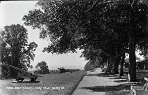 Cannons Prints: Park Walk in Shaftesbury