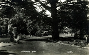 Addlestone Gallery: The Park, Weybridge, Surrey