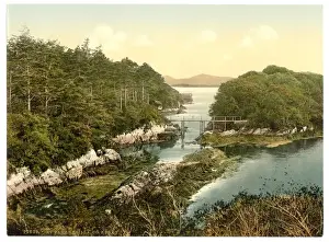 At Parknasilla. County Kerry, Ireland