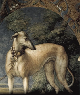 Italians Collection: PARMIGIANINO, Francesco Mazzola, called Il (1503-1540)