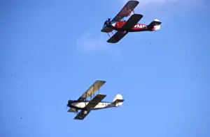 Parnall Elf - G-aIN and Southern Martlet - G-aYX
