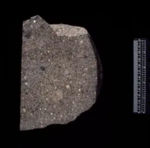 Dense Prints: Parnallee LL3. 6 ordinary chondrite