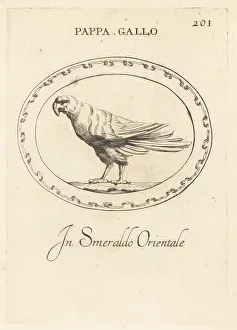 Psittacus Prints: Parrot in oriental emerald