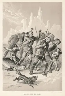 Parry / Seal Hunt