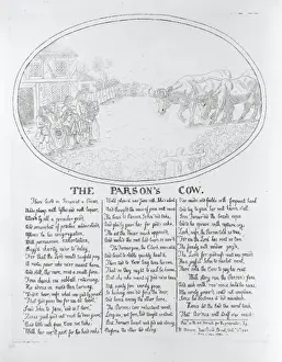 The parsons cow