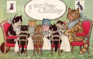 Images Dated 1st December 2019: Partytime for cats