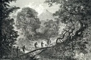 Dense Prints: Passage sur des Troncs d Arbres