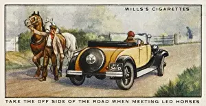 Passing Horses