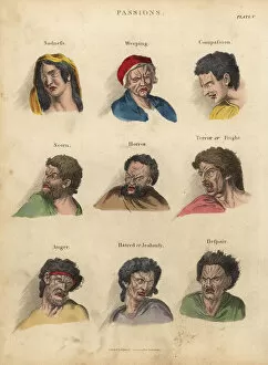 Animated Collection: Passions from Physiognomy