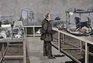 PASTEUR, Louis (1822-1895). Pasteur observes the effects of