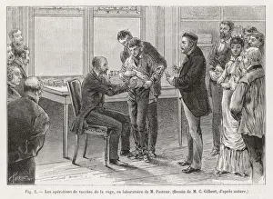 Rabies Prints: Pasteur Vaccination