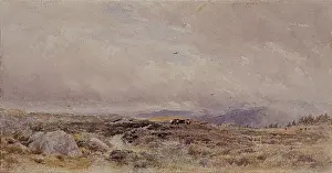 The Path over the Moors