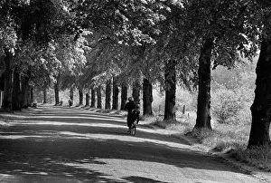 Quarry Prints: Path beside the River Severn, Quarry Park, Shrewsbury