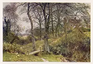Path to the Village