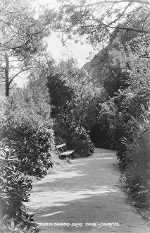 Chine Prints: Pathway in Canford Cliffs Chine