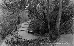 Pathway Through Old Roar Gill