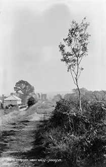 Wareham Prints: Pathway Through Wareham