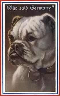 Patriotic British postcard with bulldog, WW1