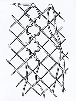 Enlarged Prints: Pattern of Threads in Bobbin-net Lace