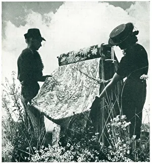Buyers Prints: Patterned Fabrics Advertisement Photograph