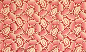 Patterned material