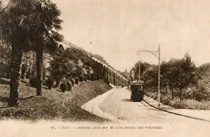 Amer Collection: Pau, France - Tram on Avenue Leon-Say
