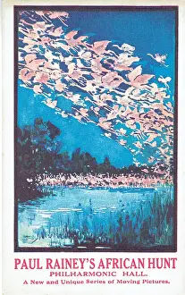 Flocks Prints: Paul Raineys African Hunt