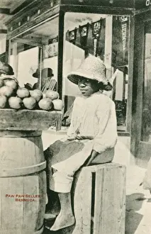 Paw Paw Seller - Bermuda