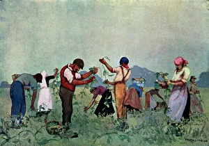 Expansive Prints: The Pea-Pickers
