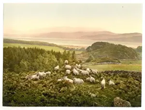 Plenty Prints: Peace and plenty, England