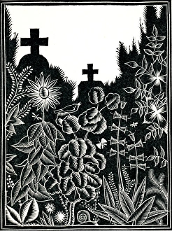 Images Dated 16th February 2011: Peaceful scene in cemetery