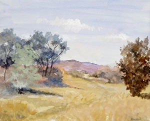 Peaceful Summer pastures