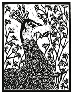 Amidst Prints: Peacock amidst flowers