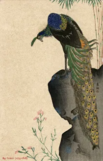 Images Dated 31st May 2018: Peacock and Bamboo by Yamaguchi Soken