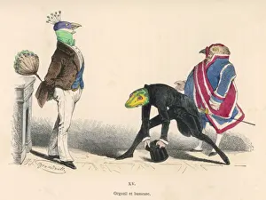 Peacock and Lizard
