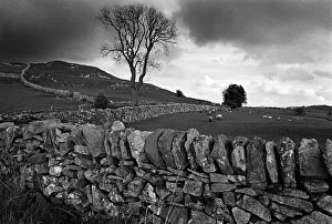 Images Dated 5th March 2019: Peak District, Derbyshire, bleak winter