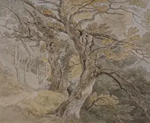 Abbott Prints: Peamore Park, nr. Exeter