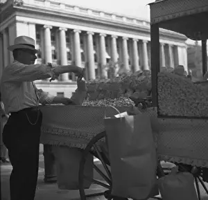 Peanut vendor outside the White House. Washington, D. C