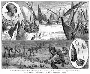 1881 Collection: Pearl fishing in the Persian Gulf