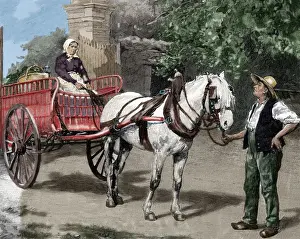 Huyot Prints: Peasant family with a chariot. Engraving by Huyot, 1880. Col