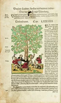 Images Dated 16th June 2014: Peasants dancing round linden tree (full page)